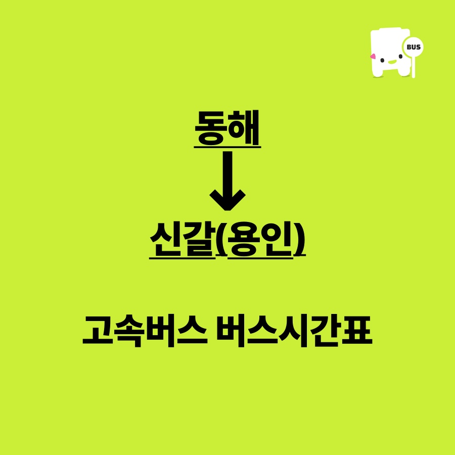 동해-신갈(용인) 고속버스 시간표 안내 이미지